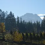 Msc Honeymoon * Zakopane