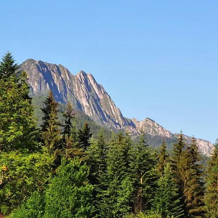 Apartment Msc Honeymoon