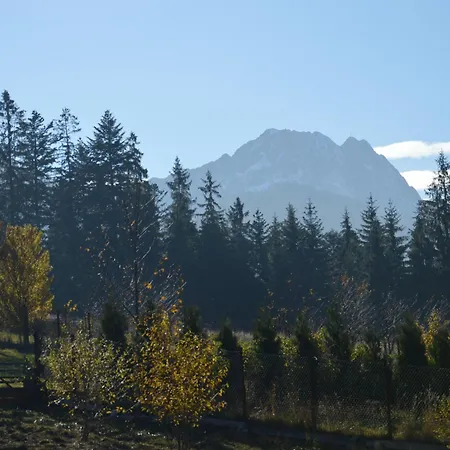 Msc Honeymoon * Zakopane