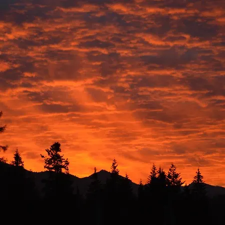 Apartment Msc Honeymoon Zakopane