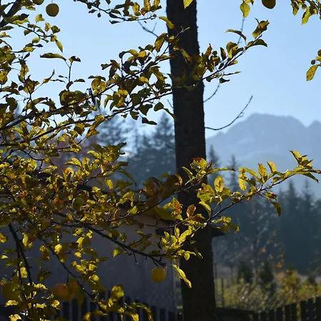 Apartment Msc Honeymoon *