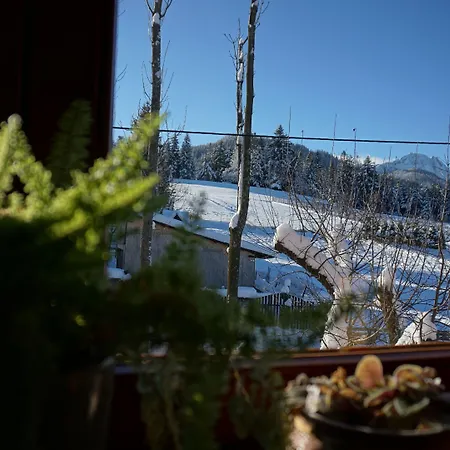 Msc Honeymoon * Zakopane