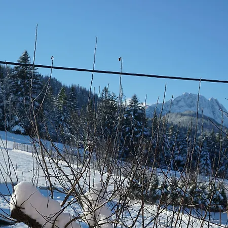 Msc Honeymoon Zakopane