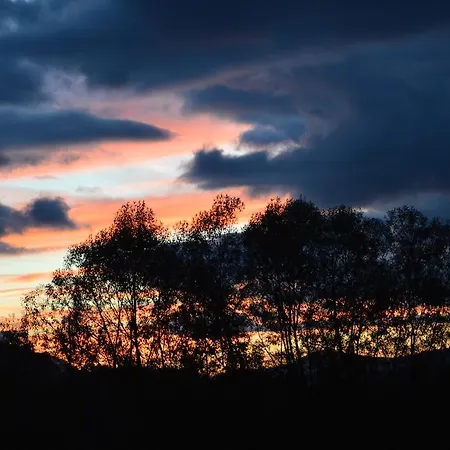 Msc Honeymoon * Zakopane