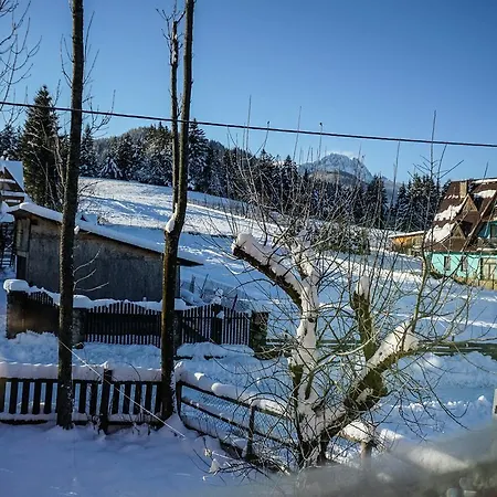 Msc Honeymoon Apartment