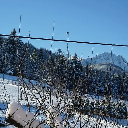 Msc Honeymoon Zakopane