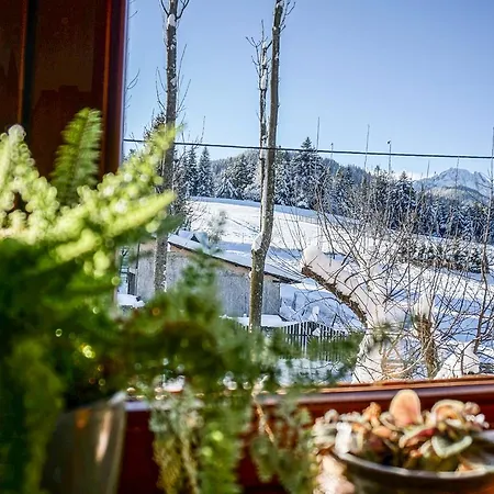 Appartement Msc Honeymoon *