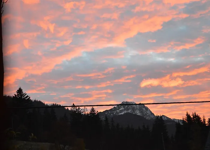 Msc Honeymoon Zakopane