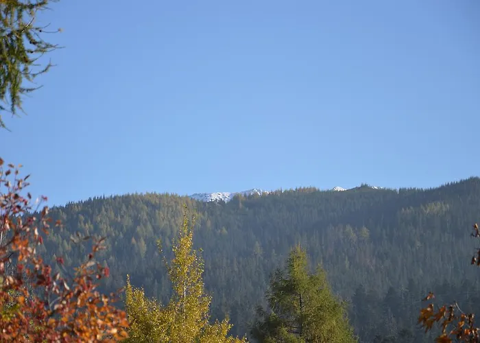 Msc Honeymoon * زاكوباني