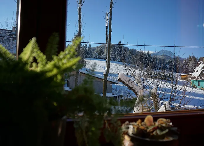 Msc Honeymoon * Zakopane