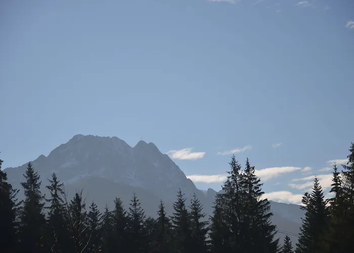 Msc Honeymoon زاكوباني