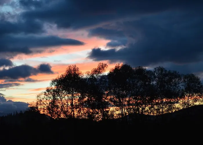 Msc Honeymoon * Zakopane