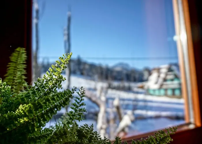 Msc Honeymoon * Zakopane